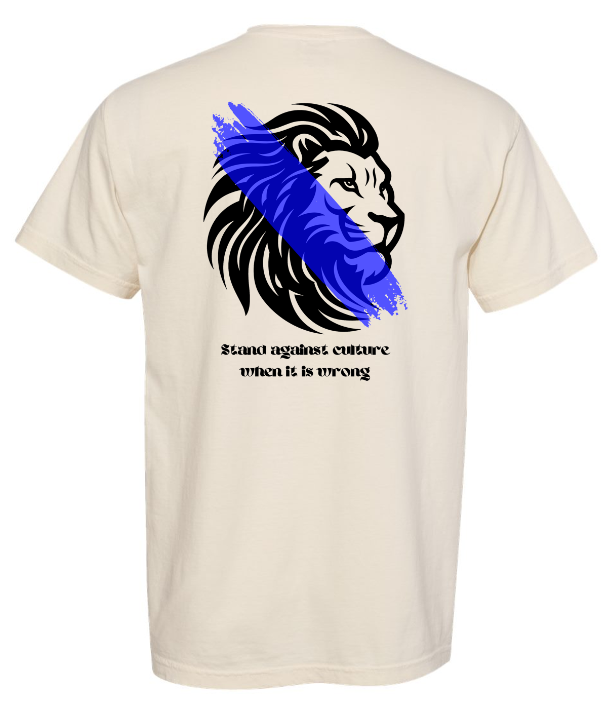 TCS New "Robinson House" Comfort Colors Short Sleeve T-Shirt