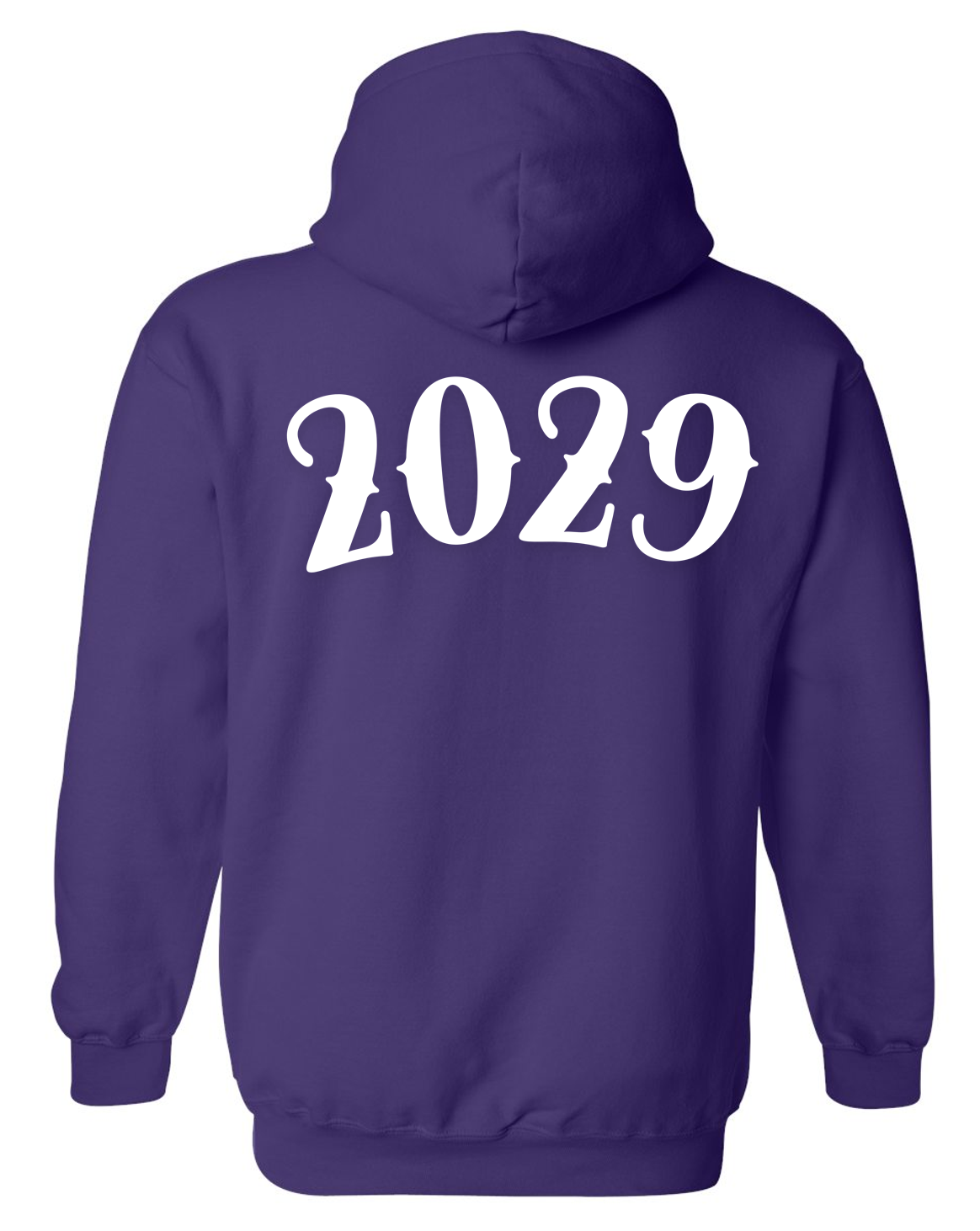 TCS "Class of 2029" Cotton Hoodie Sweatshirt